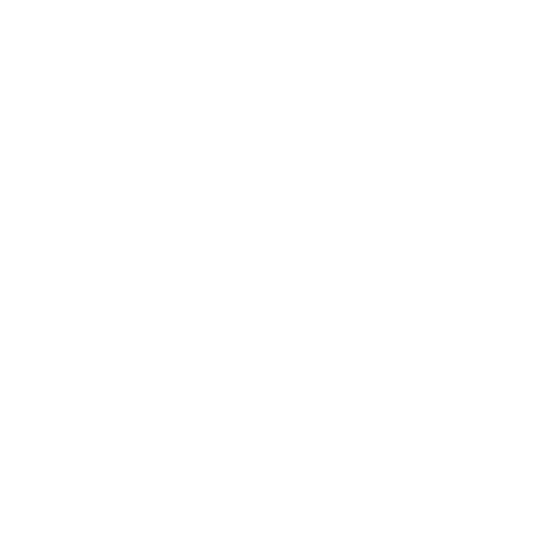 نشان جواهری اصیل